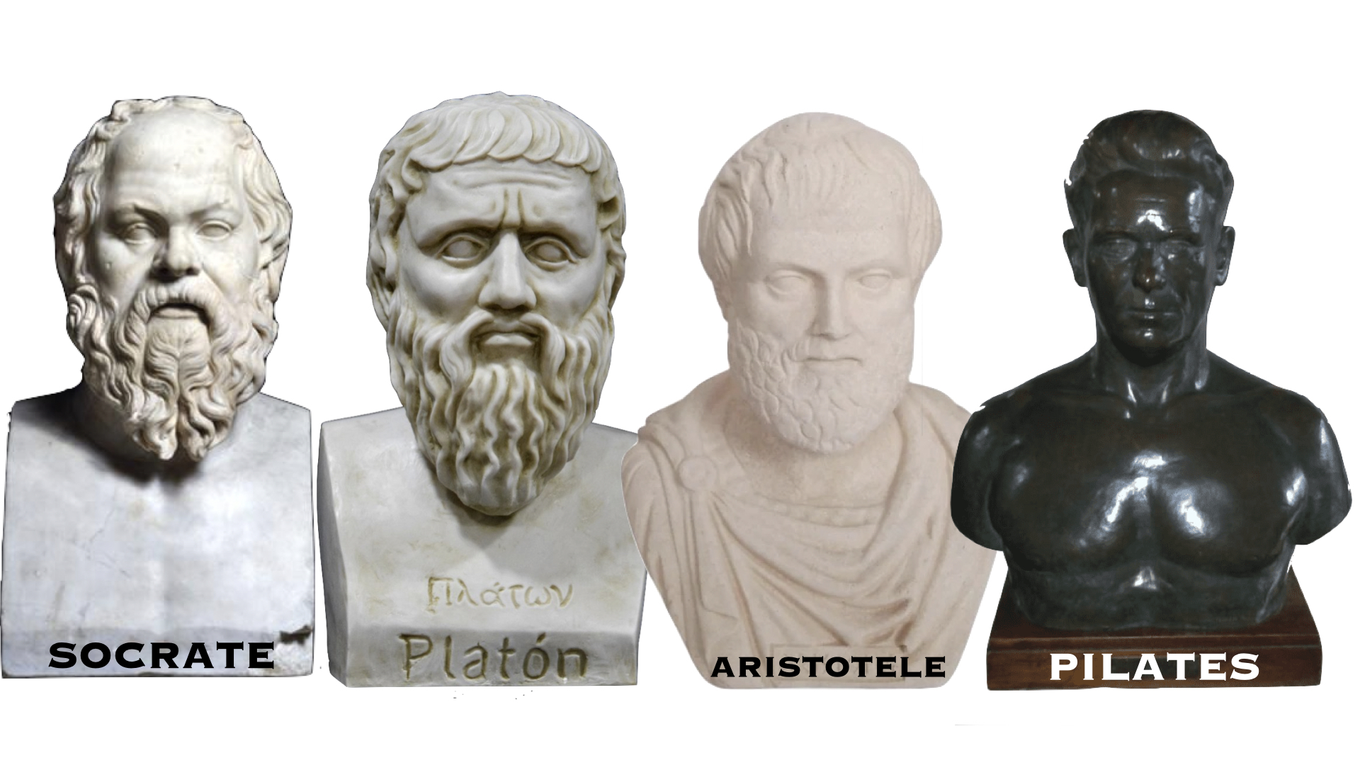 Busti di vari filosofi e di Joseph Pilates